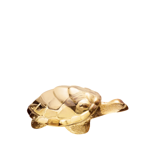 SCULPTURE TORTUE CAROLINE
