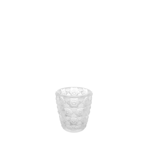 PHOTOPHORE ANÉMONES