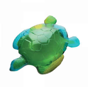 TORTUE TURQUOISE
