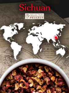 SICHUAN - PEUGEOT