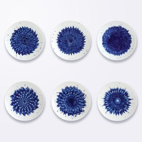 IN BLOOM - COFFRET