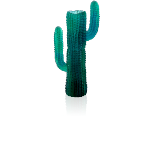 VASE JARDIN DE CACTUS