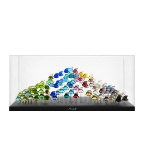 BASE AQUARIUM 100 POISSONS