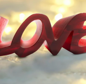 TRUE LOVE ROUGE - DAUM