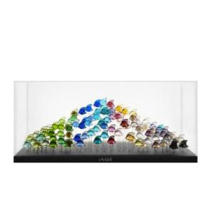 BASE AQUARIUM 100 POISSONS