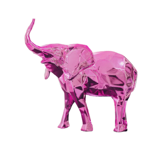 ELEPHANT ROSE