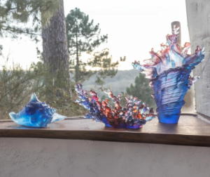 COQUILLAGE CONQUE - DAUM