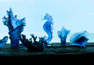 COQUILLAGE CONQUE - DAUM