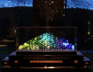 BASE AQUARIUM 100 POISSONS