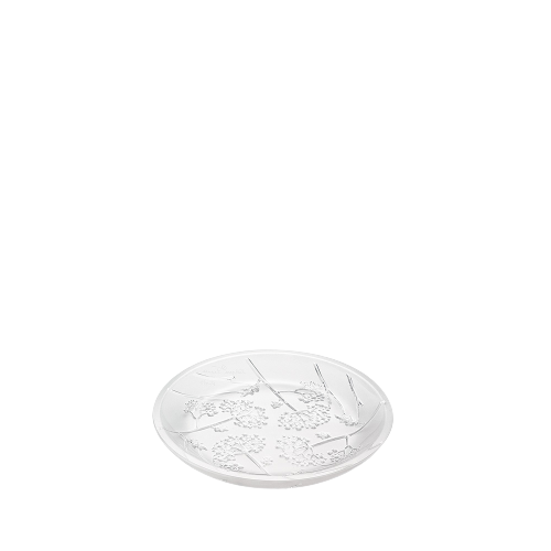 COUPELLE PLATE OMBELLES